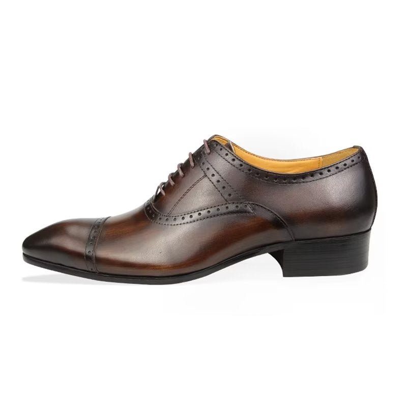 Formelle Sko Herre Deluxe Oxford Lavishnuptial Brogues - Kaffe