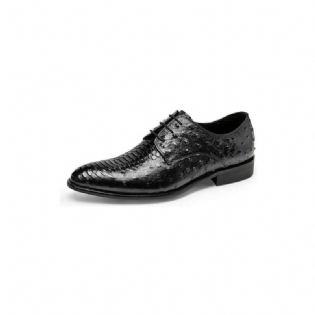 Mænds Formelle Sko Luksus Croctex Derbies Dress