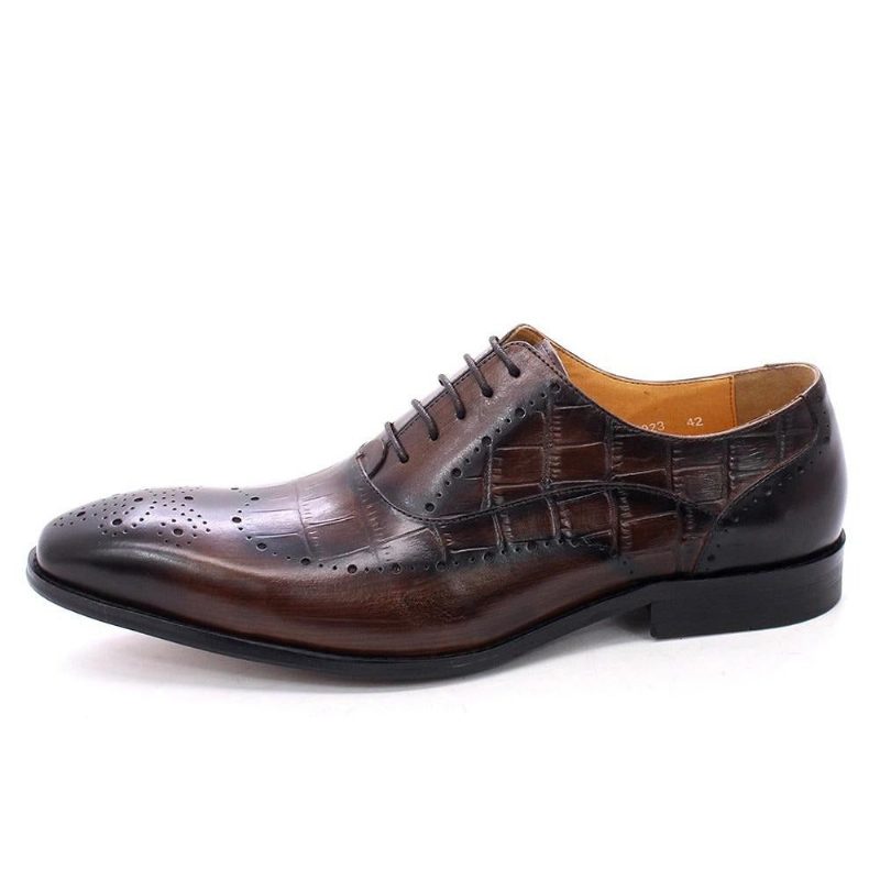 Mænds Formelle Sko Luksus Krokodillelæder Brogue Oxford Dress - Kaffe