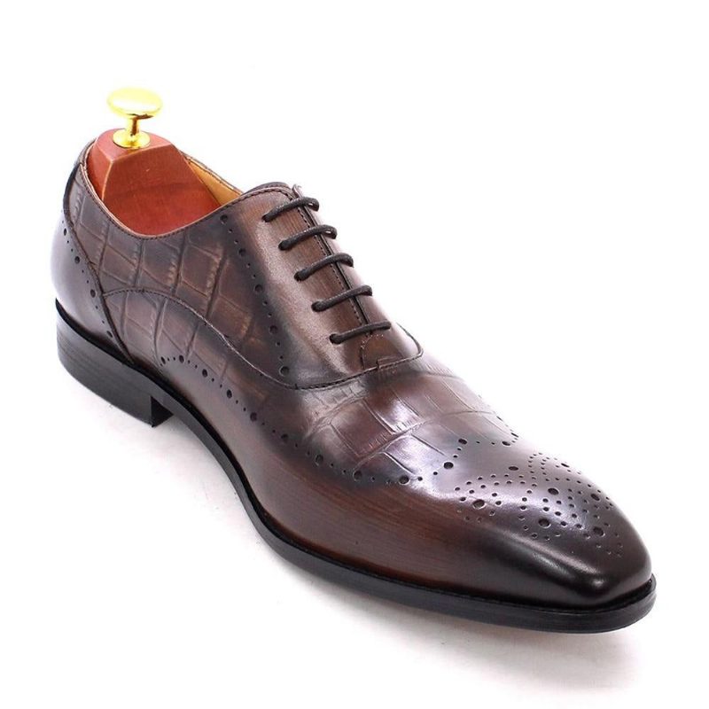 Mænds Formelle Sko Luksus Krokodillelæder Brogue Oxford Dress - Kaffe