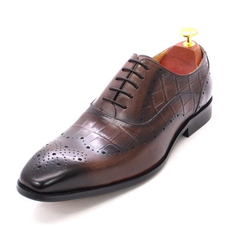 Mænds Formelle Sko Luksus Krokodillelæder Brogue Oxford Dress - Kaffe